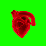 دانلود فوتیج قلب رایگان
